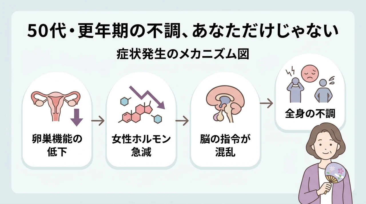 50代・更年期の不調、あなただけじゃない